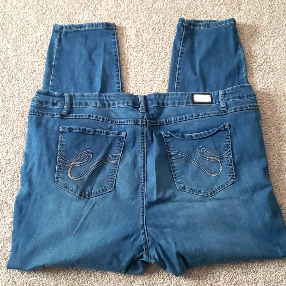 Plus Size Earl Skinny Jeans